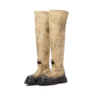 Bocanci dama inalti Dunk Nude